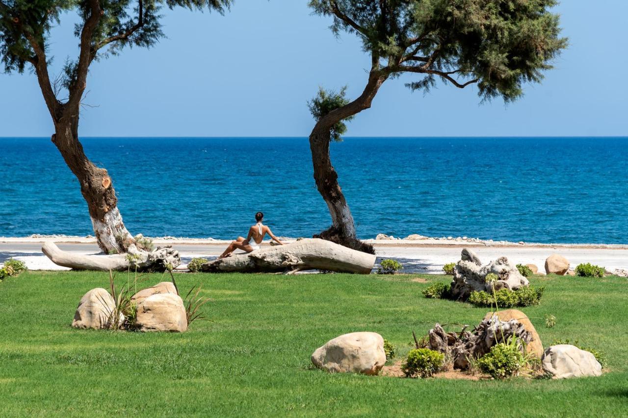 Artemis Seafront Villa, An Evanescence Sea Retreat, By Thinkvilla Tavronitis  Ngoại thất bức ảnh